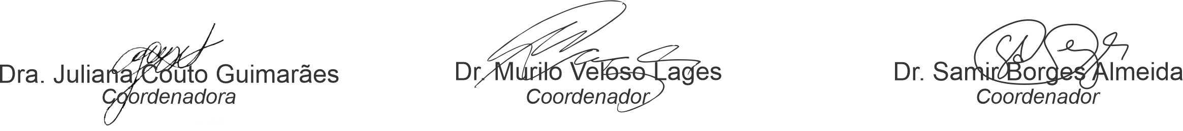 Assinaturas da comissão organizadora